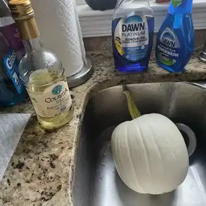 Halloween Pokémon Ball Pumpkin Clean and Prep