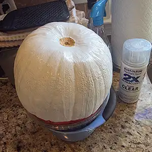 Spray Clear Glossy Acrylic Sealer to the Bottom Side of Your Halloween Pokémon Ball with white paint
