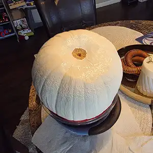 Paint the bottom side of Your Halloween Pokémon Ball with white paint